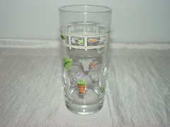 1 Clear Glass Tumbler with leaves and flowers