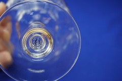 Baccarat Capri Optic (2) Sherbet or Champagne Glasses, 5 1/4″ (B40)