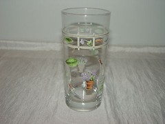 1 Clear Glass Tumbler with leaves and flowers