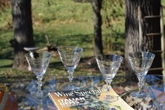 Vintage Etched Cystal Wine Glasses – Water Goblet, Set of 4, Tiffin Franciscan