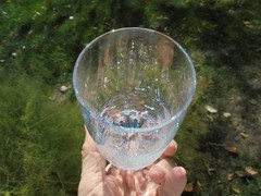 Artist Signed Etched Glass African Cheetah Tumbler Kari Kenya Excellent
