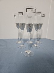 Zodax Bar 425 Champagne Flutes Set Of 6