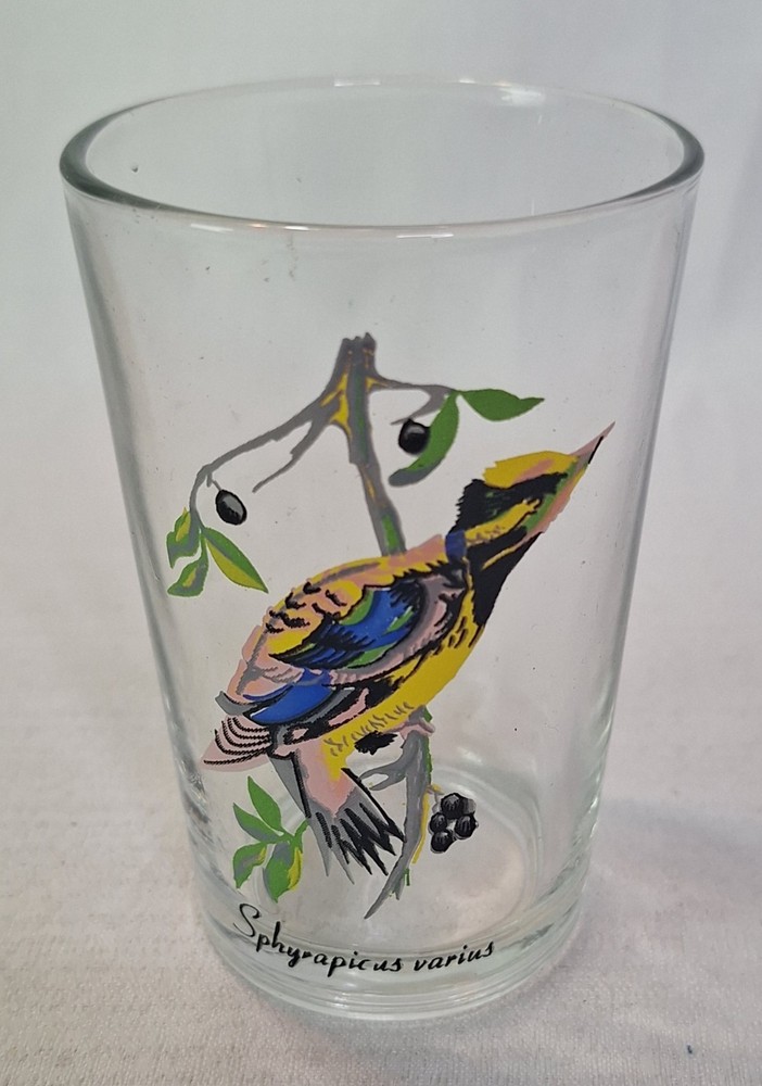 Vintage Swanky Swigs Malaysia Tropical Bird Glass 4″ Inch