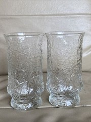Lot 2 Vtg Tumbler Glasses Pressed Raised Clear Glass Floral Flower 2 Piece Mold