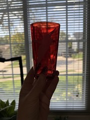 Set of 6 HAZEL ATLAS Ruby Red Sportsman Glasses Tumbler Flying Bird Cattails VTG