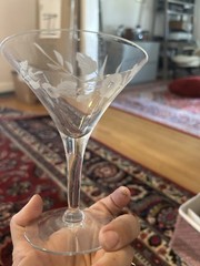 Vintage Dorothy Thorpe Floral Liqour Cocktail/Martini Glass
