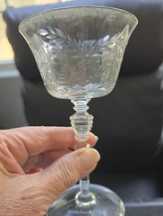 Vintage Fostoria June Etched Champagne Coupe Glasses Set of 7 – 6″ Tall