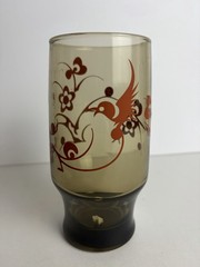 6 Vintage Smokey Brown Drinking Glasses Retro Birds & Flowers MCM, Boho, 70’s