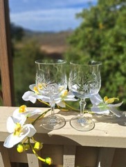 Etched Star Pinwheel Cut Crystal Liszt Water Goblets by Kristal Zajecar Set of 2