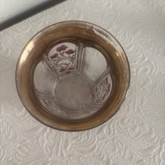 Indiana Glass Company Floral Tumbler Cup Gold Rim 4 1/4”