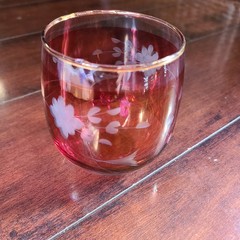 Vintage Cranberry Red Glass Tumbler with Etched Floral Pattern and Gold Rim
