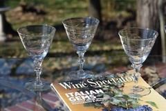 Vintage Etched Cystal Wine Glasses – Water Goblet, Set of 4, Tiffin Franciscan