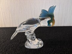 Crystal Parrot Champagne Royales