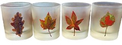 RARE CLASSIC Autumn Leaf Strawberry Frosted 10oz Glass Tumblers Set Of 4