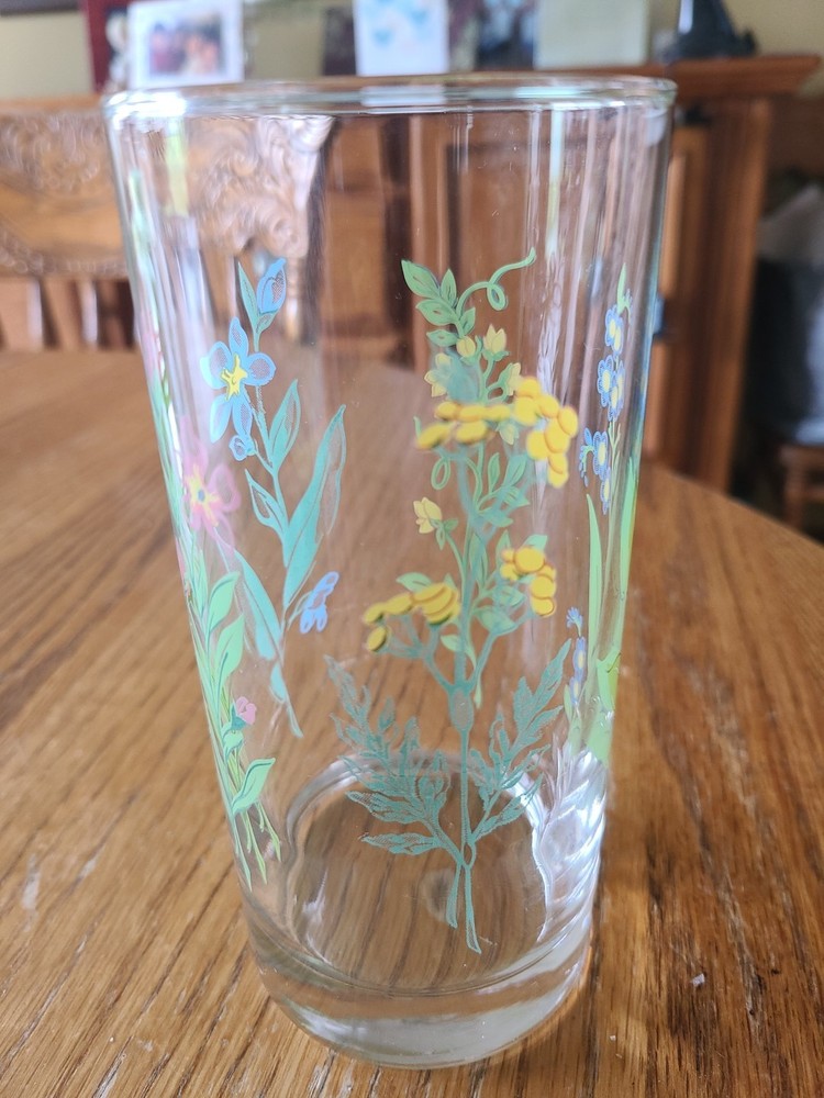 Corelle Coordinates My Garden 14 oz Glass Tumbler HTF PERFECT