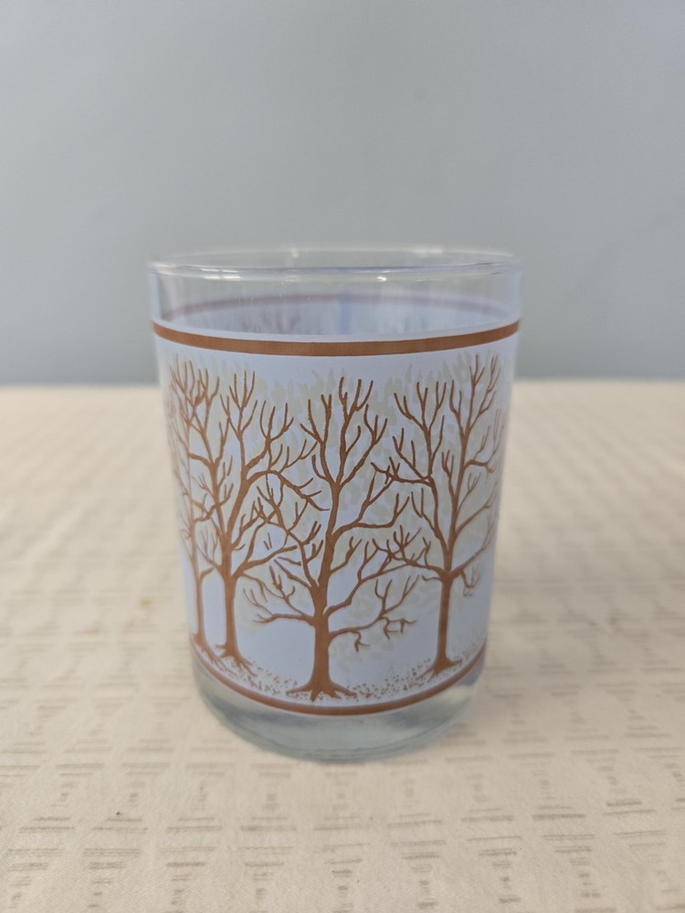 HOUZE 4 SEASONS Thermochromic Glassware 1970’s MCM Vintage Glasss