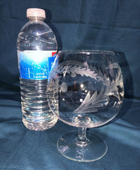 Pine Cone & Leaves Cut Crystal Brandy Snifter