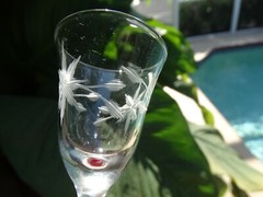 Weston Crystal Gray Cut Flower Clear 1 oz Footed Cordial w/ Ruby Red Foot VGUC
