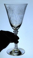 2x Fostoria LIDO glass WATER GOBLETS scepter stem 6017 PALM LEAVES etch 329