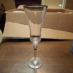 Mikasa Fine Crystal Jamestown Platinum Champagne Glasses SET OF 12