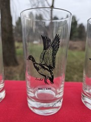 SET of 6 Vintage LANBIL Waterfowl Game Bird Drinking Highball Glasses 5 1/2 in