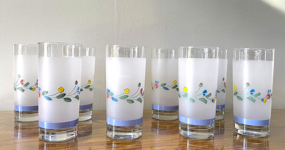 Floral Expressions 16 OZ FROSTED GLASS TUMBLERS by Hearthside Set of 10 Tumblers