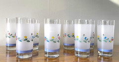Floral Expressions 16 OZ FROSTED GLASS TUMBLERS by Hearthside Set of 10 Tumblers