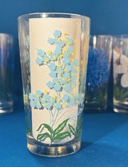 VTG Set of ✨12 ✨Boscul Peanut Butter Glasses MCM Floral Tumblers UNUSED MINT