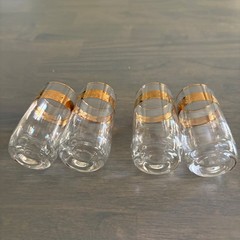 Vtg MCM Czech SPOJENE SKLARNE Glassworks. Lednicke Rovne 4 Shot/Cordial Glasses.