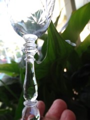 Bryce Clear Glass Polished Gray Wheel Cut Dots Floral Water Goblet 854-14 VGUC