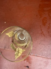 Mid Century yellow And Gold Leaf Design Drinking Glasses Highball Barware