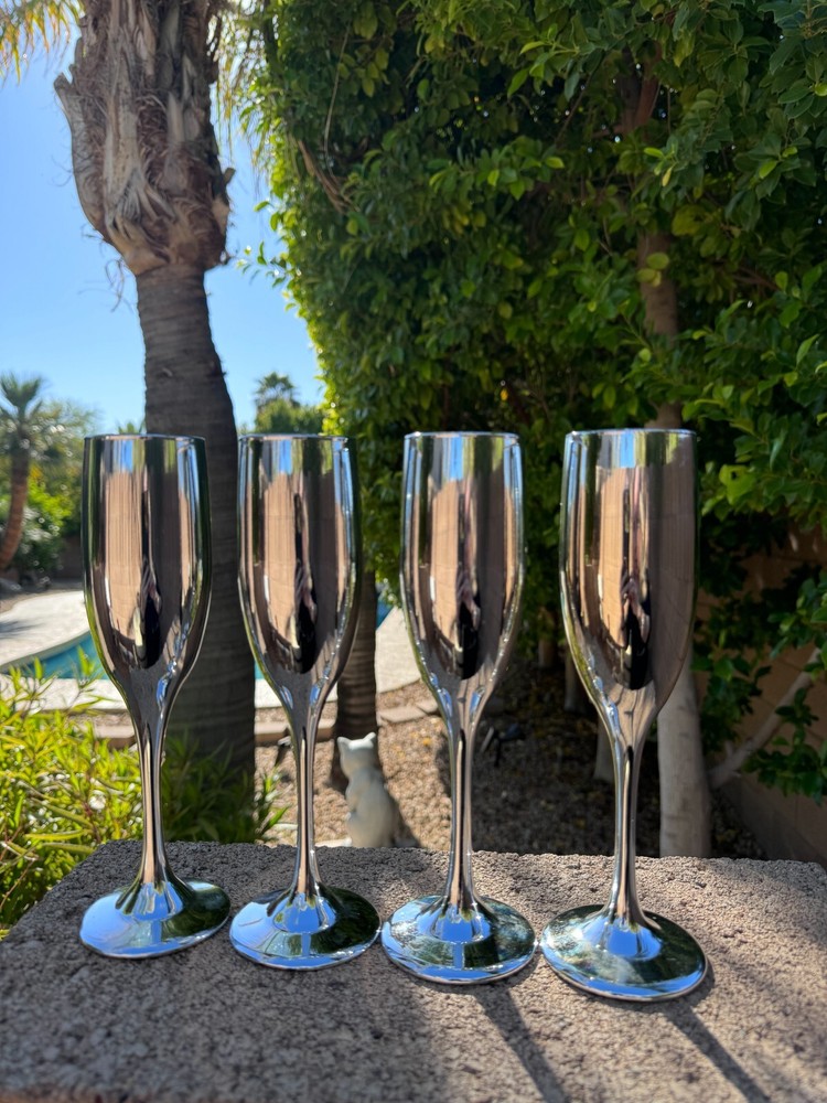 Elegant Champagne Flutes Silver Mirrored Coated Glass Wedding Toasting Set of 4