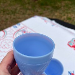 Delphite Blue Cherry Blossom Jeannette Footed 4.5″ tall Tumblers SET OF 2