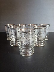 Floral Etched & Ribbed Juice Glasses With Silver Trim Set of 7