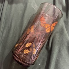 Vintage Libby Drinking Glass Butterfly And Wheat Orange Mid Century Modern