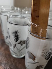 Libbey Silver Leaves Frosted Glasswear 25 Pcs. Water Tumblers Juice Sherbet Vtg