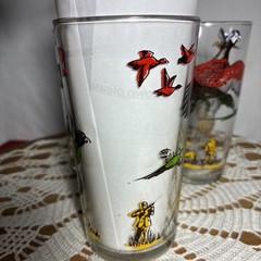 Vintage Pheasant Hunting Scene Drinking Glasses Set of 4 Game Bird Tumblers