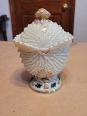 Nice Northwood Custard Glass Nautilus (Argonaut Shell) Hand Painted Sugar