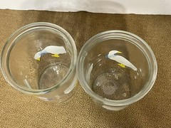 Bama Jelly Jars 2 Glasses Barnyard Animals Geese Goose 10oz Juice Glass Vintage