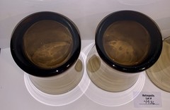 4 Anchor Hocking Linden Smokey Brown Tawny Glass Flared Tumblers Lowball Vintage