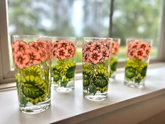Floral Glassware Georges Briard Vintage Mid-Century Pink and Green 14oz Set of 6