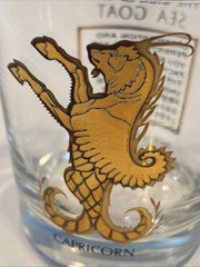 VTG Celestial Zodiac Astrology Capricorn Anchor Hocking Horoscope Glass Gold