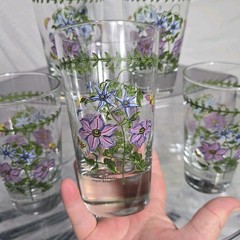 5 pc Portmeirion Botanic Gardens Clematis Florida Highball Tumblers