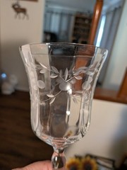 Set of 2 Etched Floral & Leaf designs Crystal Wine Glasses