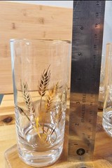 MCM Homer Laughlin 22K Gold Wheat Decorated Tumbler Glasses Set of 18