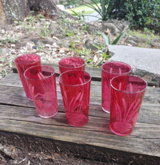 6 Vintage Etched Cattails & Lilly Pad Cranberry Juice Glass/Tumbler