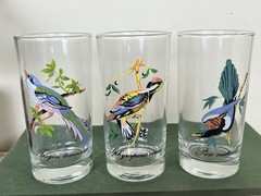 Vintage MCM Hand Painted Exotic Bird Barware Glasses (Set Of 3) 5.5” Cocktails