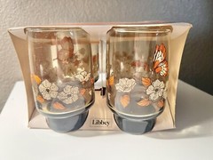 Vtg Libbey Accent Glasses Butterflies Tawny Brown 16 oz MCM Original Box Rare