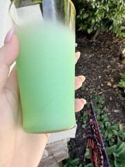 Vintage Blendo Green Ombre Frosted Tumblers Gold Rim MCM Glasses Set of 2