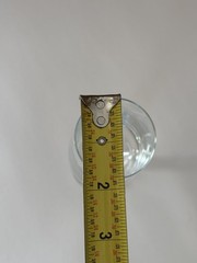 Claudia Crystal Champagne Flute Set of 12 Import Associates
